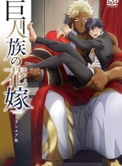 81gvrX2DAiL._AC_UF894,1000_QL80_